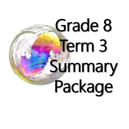 grade 8 assignment term 3