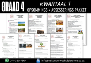 COMBO Graad 4 Kwartaal 1 Opsommings en Formele Assesserings 2025 - Image 2