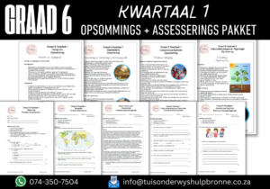 COMBO Graad 6 Kwartaal 1 Opsommings en Assesserings 2025 - Image 2