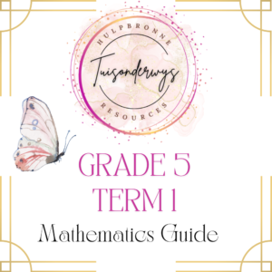 Grade 5 Term 1 Mathematics Guide