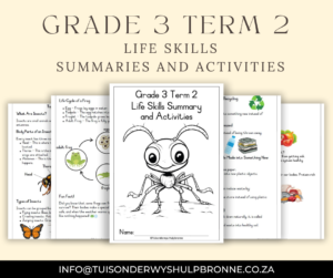 Grade 3 Term 2 Life Skills Summary and Activities