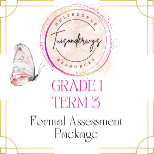 Grade 1 Term 3 Formal Assessments Package