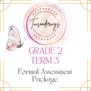 Grade 2 Term 3 Formal Assessments Package