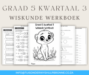 Graad 5 Kwartaal 3 Wiskunde Werkboek - Image 2