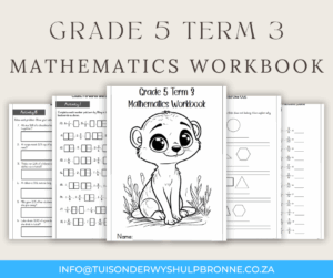 Grade 5 Term 3 Mathematics Workbook - Image 2