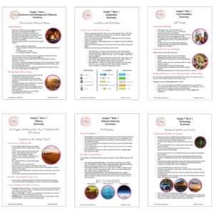 Grade 7 Term 1 Summaries Package 2026 - Image 2