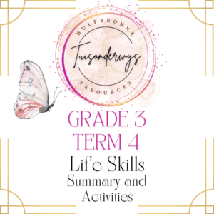 Grade 3 Term 4 Life Skills Summary and Activities