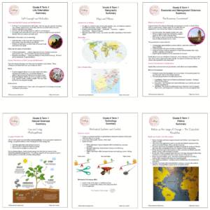 Grade 8 Term 1 Summaries Package 2026 - Image 2