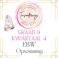 Graad 9 Kwartaal 4 Ekonomiese en Bestuurswetenskappe Opsomming